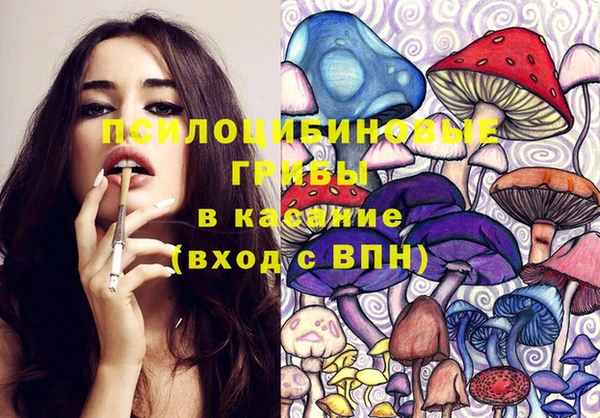 Альфа ПВП Алзамай