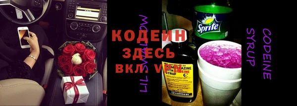 прущий лед Арсеньев