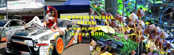 не бодяженный Аркадак